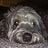 gskalle