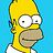 Homer1
